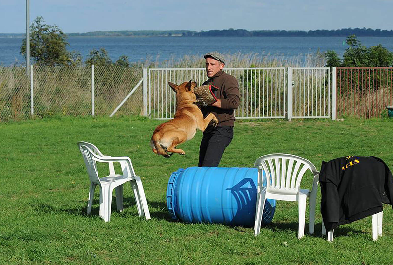Hunde